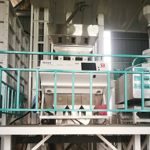 Clasificador de color de arroz pegajoso zx3 instalado