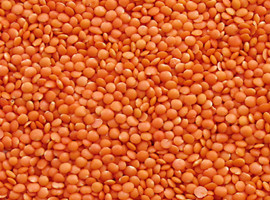 clasificador de color de lentejas